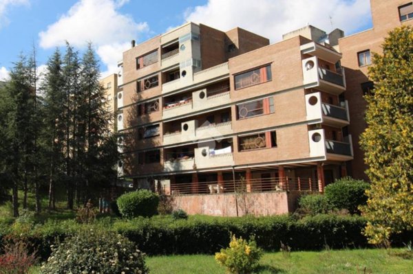 appartamento in vendita a Campobasso