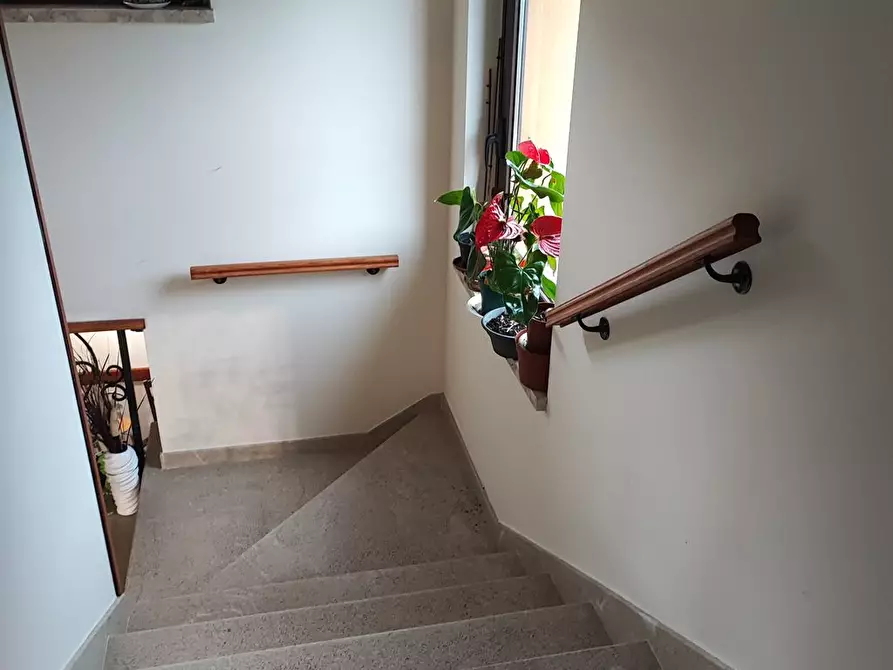 casa indipendente in vendita a Campobasso in zona Fossato Cupo