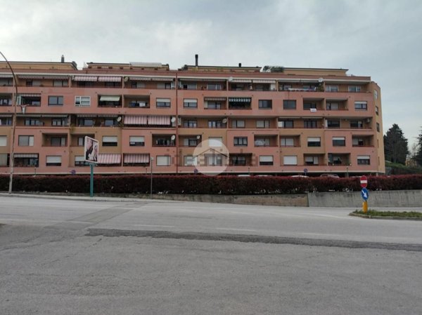 appartamento in vendita a Campobasso in zona Colle dell'Orso