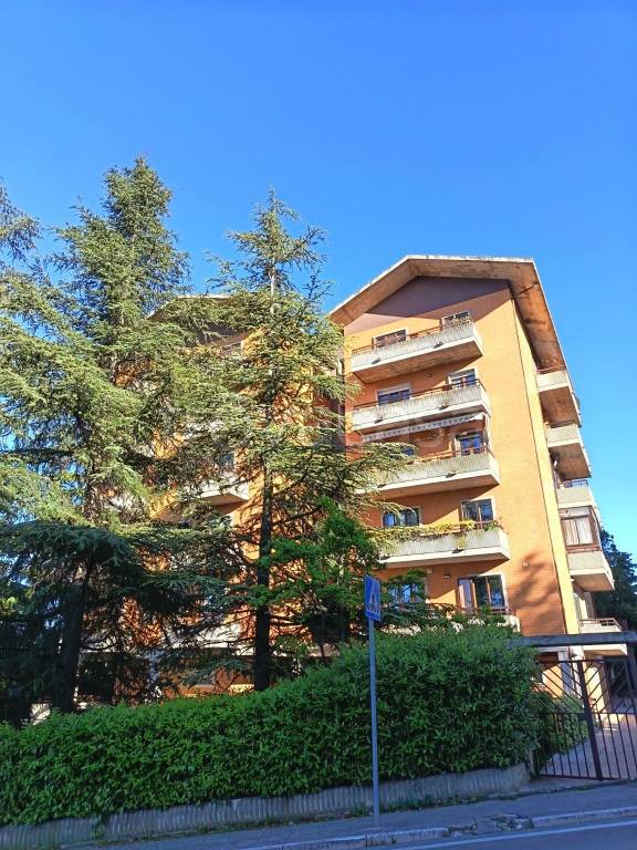 appartamento in vendita a Campobasso
