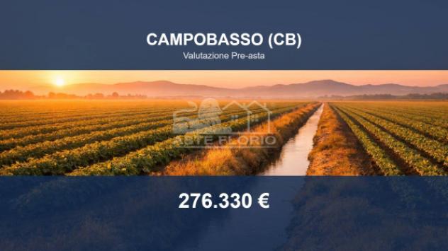 terreno agricolo in vendita a Campobasso in zona Calvario