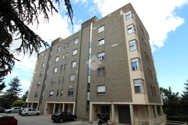 appartamento in vendita a Campobasso