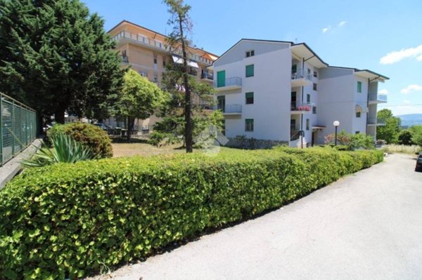 appartamento in vendita a Campobasso