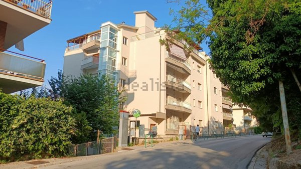 appartamento in vendita a Campobasso