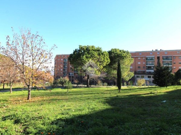 appartamento in vendita a Campobasso in zona San Giovanni dei Gelsi