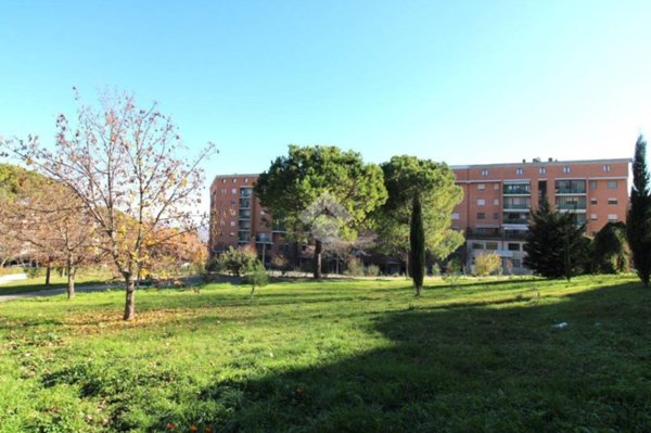 appartamento in vendita a Campobasso in zona San Giovanni dei Gelsi