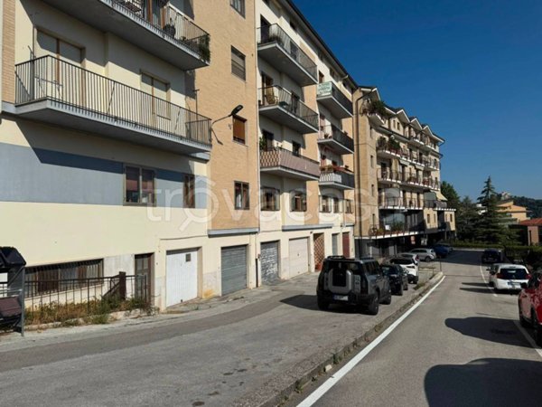 appartamento in vendita a Campobasso