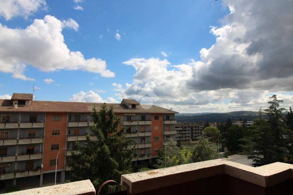 appartamento in vendita a Campobasso