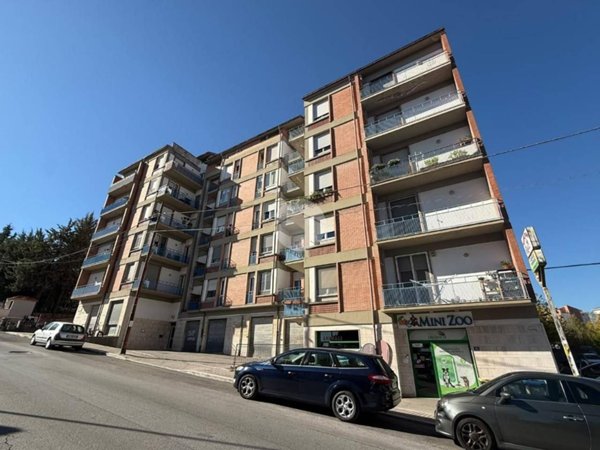appartamento in vendita a Campobasso