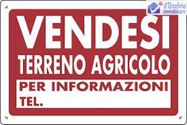 terreno agricolo in vendita a Campodipietra