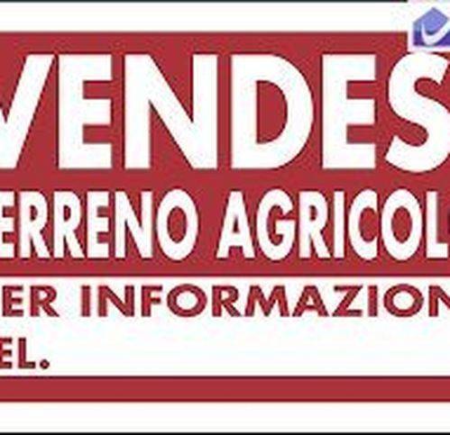 terreno agricolo in vendita a Campodipietra