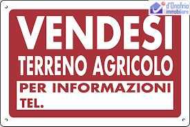 terreno agricolo in vendita a Campodipietra