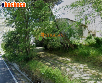 appartamento in vendita a Campodipietra