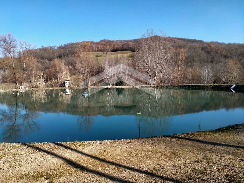 negozio in vendita a Campodipietra