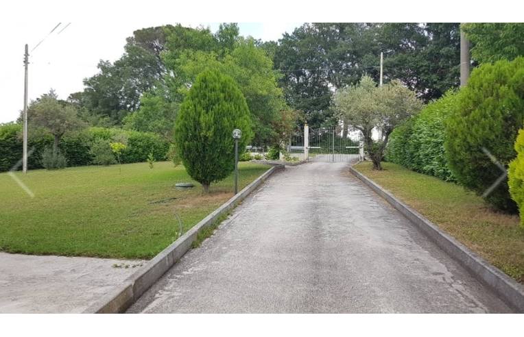 casa indipendente in vendita a Campodipietra