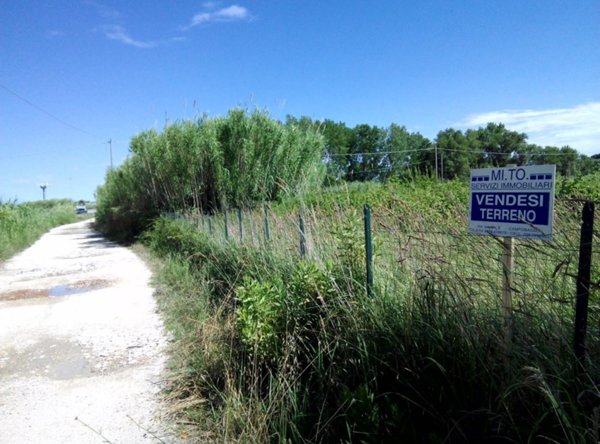 terreno agricolo in vendita a Campomarino