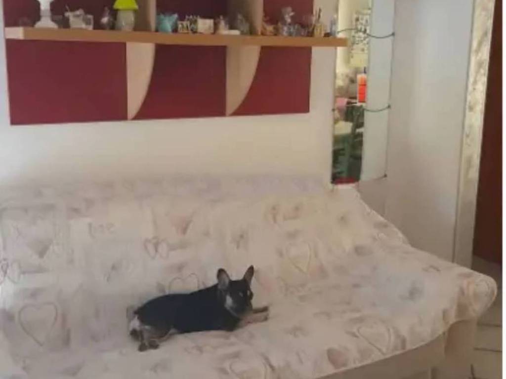 appartamento in vendita a Campomarino