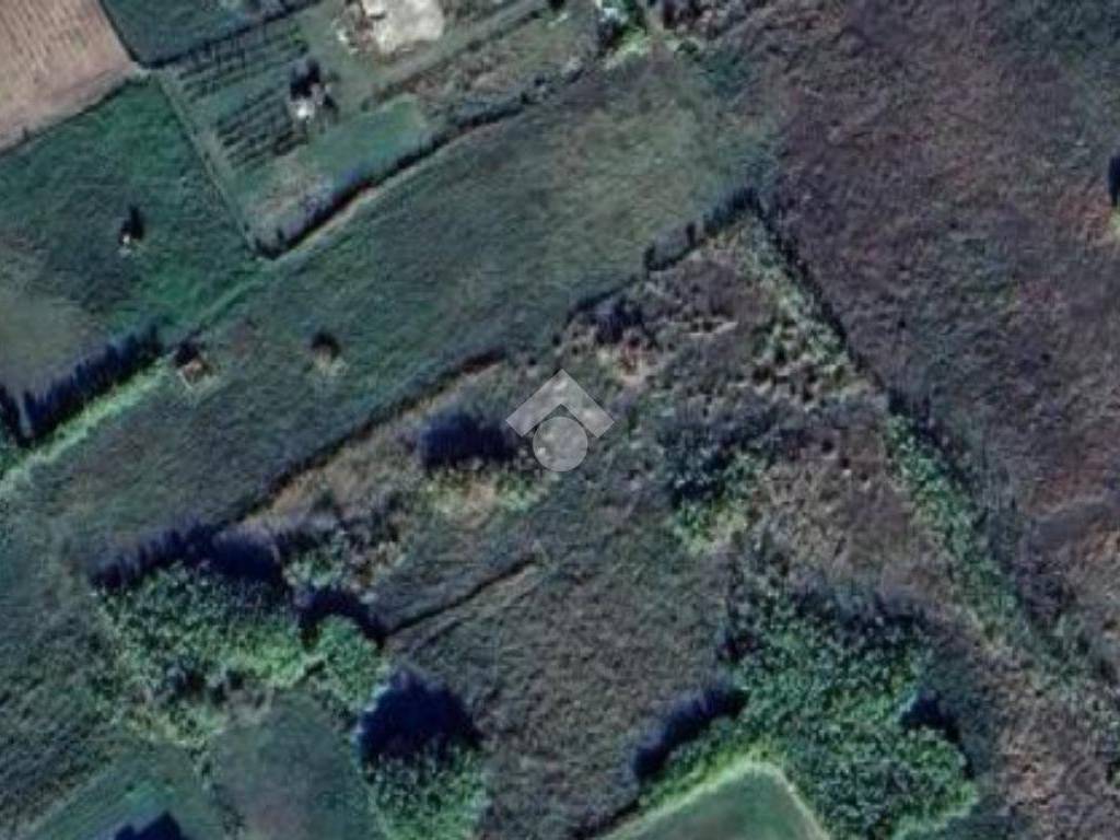 terreno agricolo in vendita a Campomarino