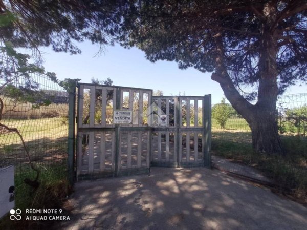 terreno agricolo in vendita a Campomarino