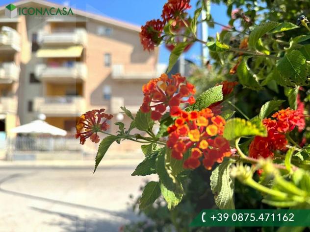 appartamento in vendita a Campomarino