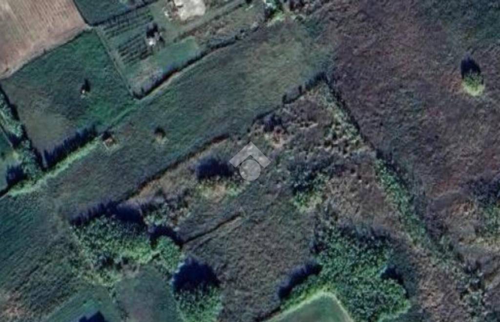 terreno agricolo in vendita a Campomarino