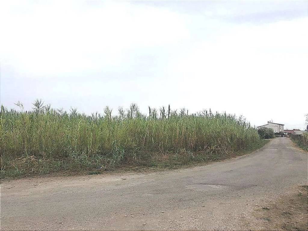 terreno agricolo in vendita a Campomarino