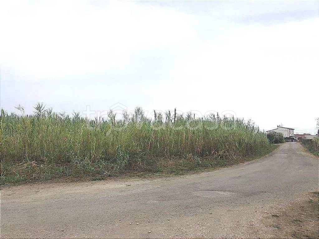 terreno agricolo in vendita a Campomarino