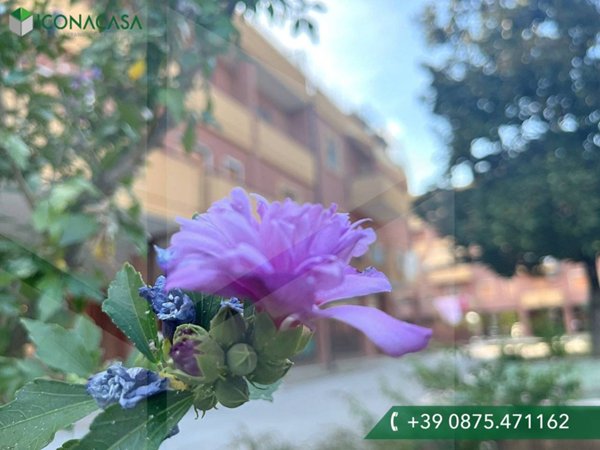 appartamento in vendita a Campomarino