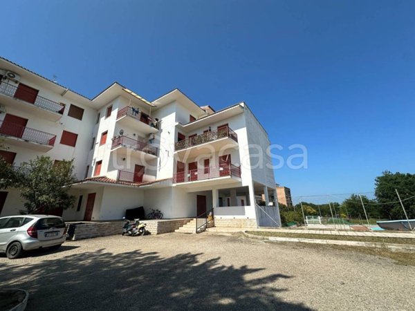 appartamento in vendita a Campomarino