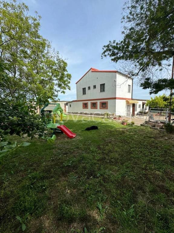 casa indipendente in vendita a Campomarino
