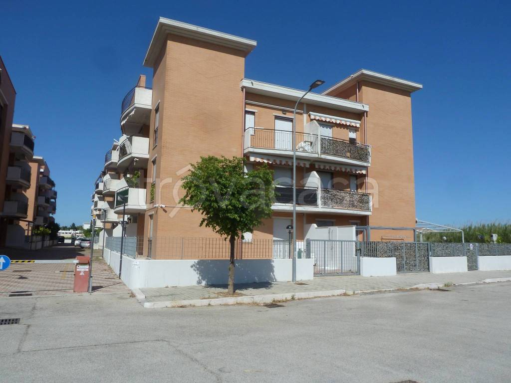 appartamento in vendita a Campomarino