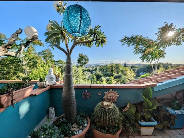 casa indipendente in vendita a Campomarino