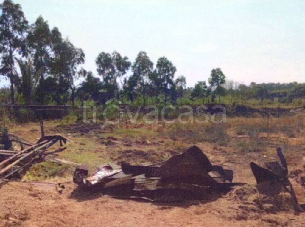 terreno agricolo in vendita a Campomarino