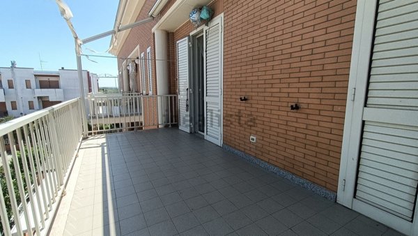 appartamento in vendita a Campomarino