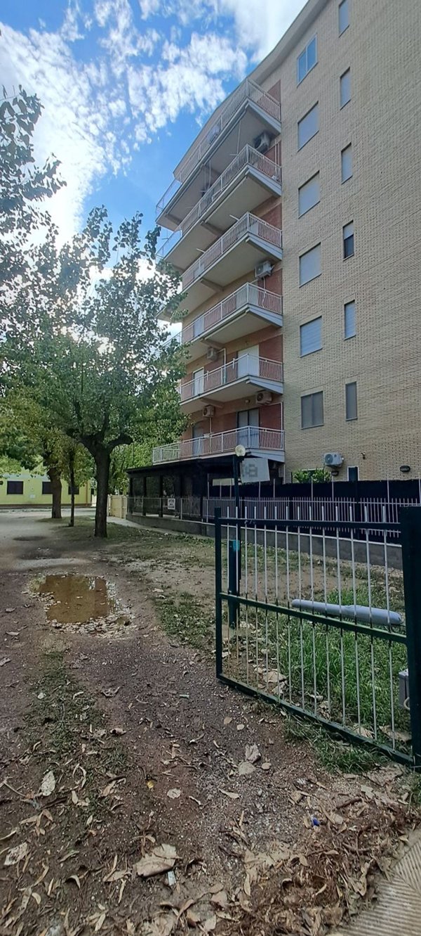 appartamento in vendita a Campomarino