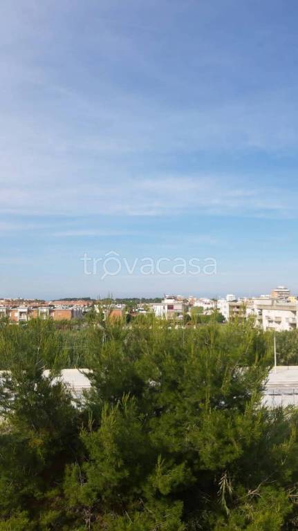 appartamento in vendita a Campomarino