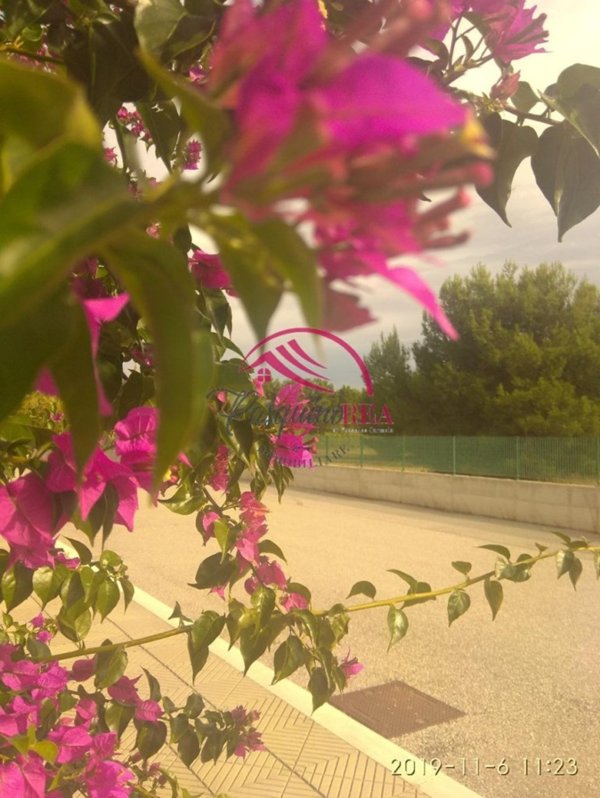 appartamento in vendita a Campomarino