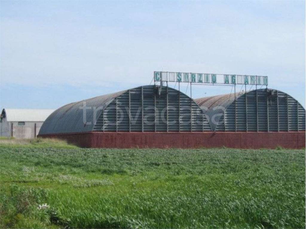 capannone in vendita a Campomarino