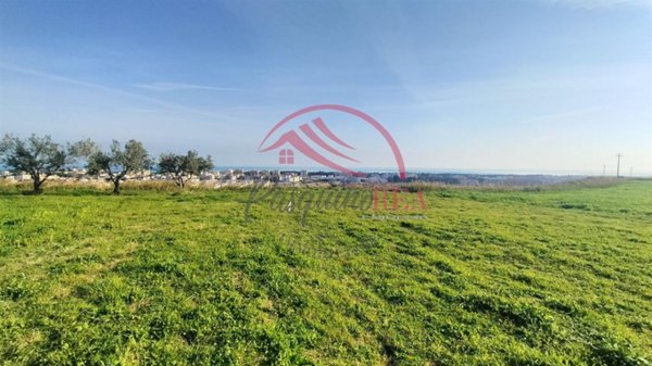 loft in vendita a Campomarino