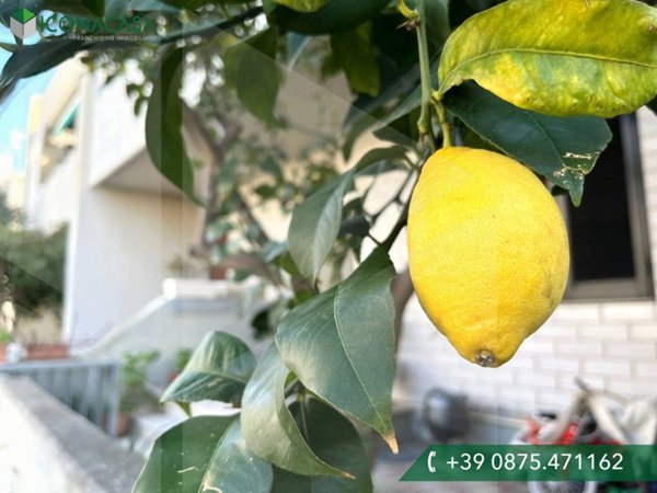 appartamento in vendita a Campomarino