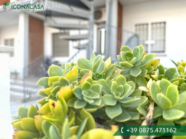 casa indipendente in vendita a Campomarino