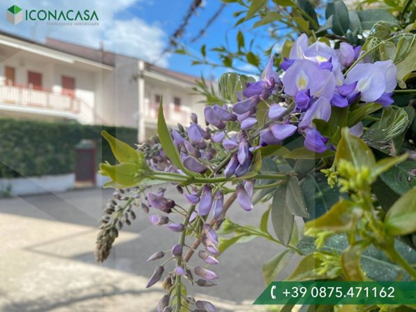 casa indipendente in vendita a Campomarino