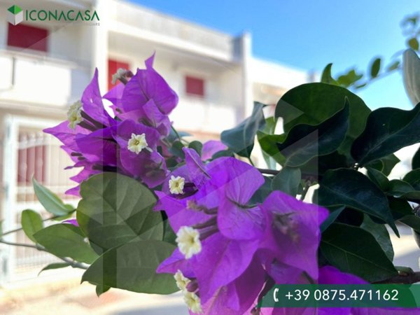 casa indipendente in vendita a Campomarino