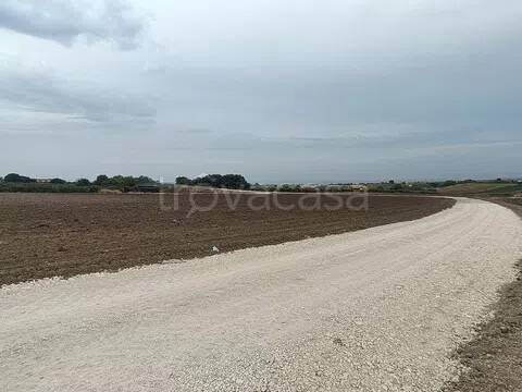 terreno agricolo in vendita a Campomarino in zona Nuova Cliternia