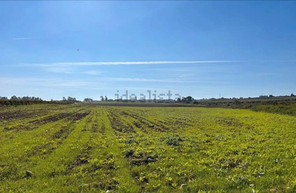 terreno agricolo in vendita a Campomarino in zona Nuova Cliternia
