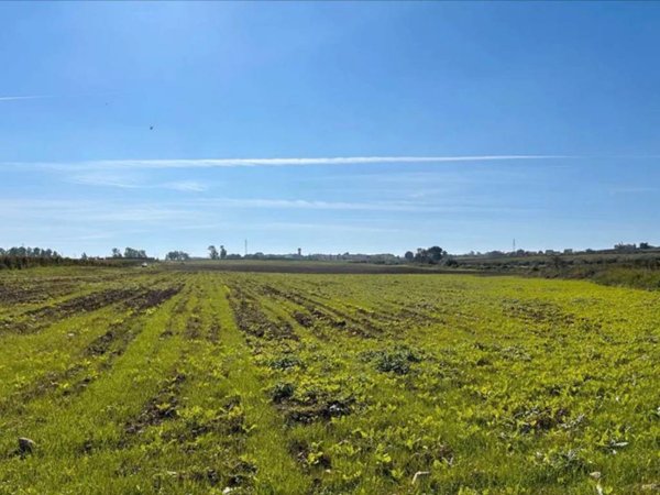 terreno agricolo in vendita a Campomarino in zona Nuova Cliternia