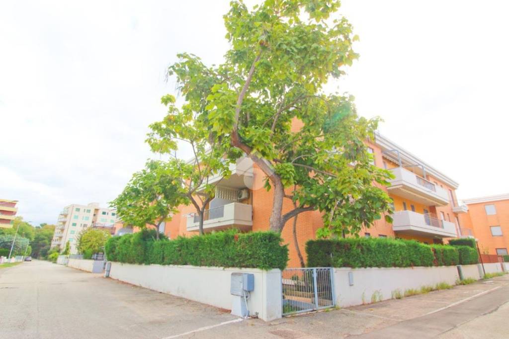 appartamento in vendita a Campomarino