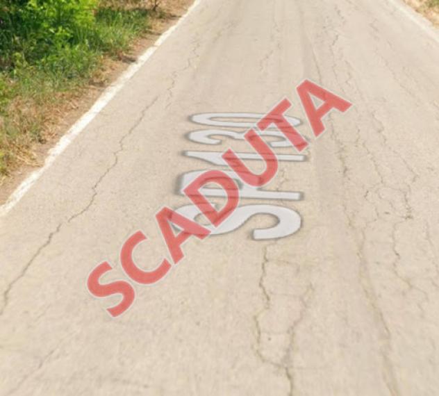 terreno agricolo in vendita a Campomarino