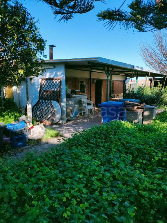 terreno agricolo in vendita a Campomarino
