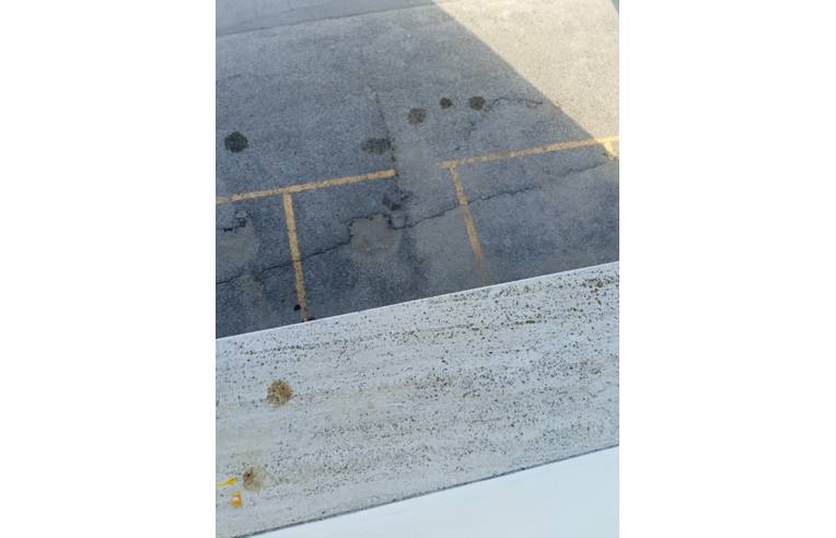 appartamento in vendita a Campomarino